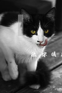 法律援助图标的含义