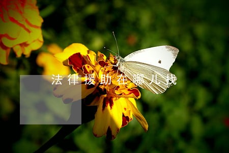 法律援助在哪儿找 法律援助在哪儿找