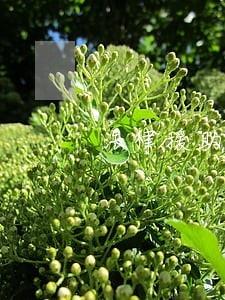 法律援助在哪里找的 法律援助在哪里找的