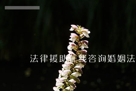 法律援助在线咨询婚姻法 法律援助在线咨询婚姻法