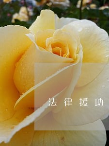 法律援助坚持的标准 法律援助坚持的标准