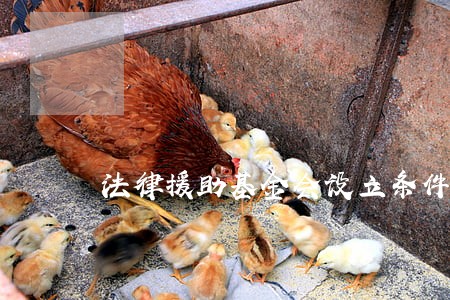 法律援助基金会设立条件 法律援助基金会设立条件