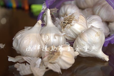 法律援助基金会重庆 法律援助基金会重庆