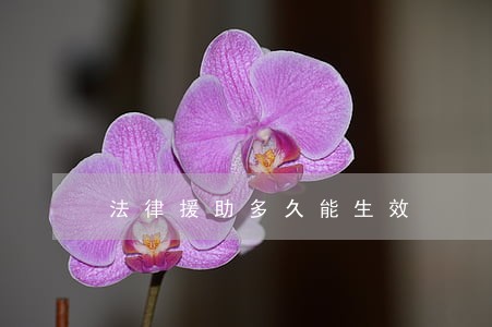 法律援助多久能生效 法律援助多久能生效