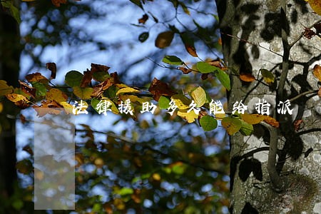 法律援助多久能给指派 法律援助多久能给指派