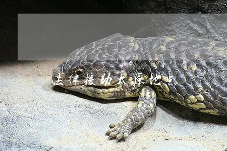 法律援助太原地点 法律援助太原地点