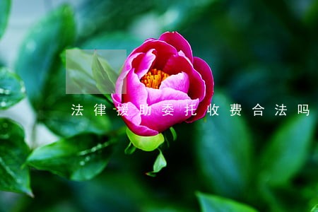 法律援助委托收费合法吗 法律援助委托收费合法吗