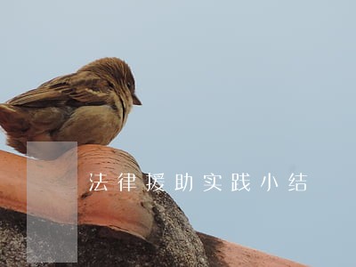法律援助实践小结 法律援助实践小结
