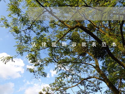 法律援助审批表范本