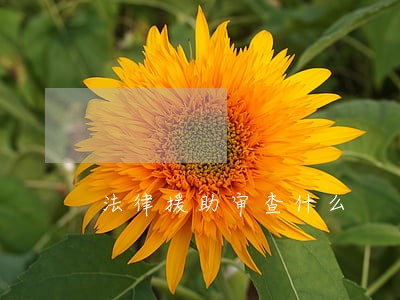 法律援助审查什么