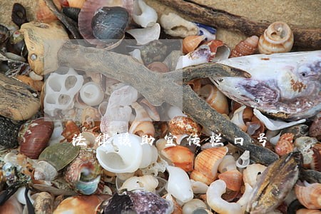 法律援助宣传栏口号 法律援助宣传栏口号