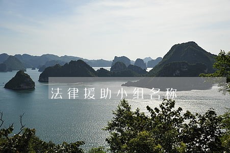 法律援助小组名称 法律援助小组名称