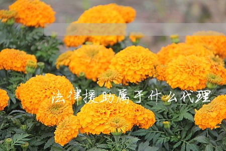 法律援助属于什么代理 法律援助属于什么代理