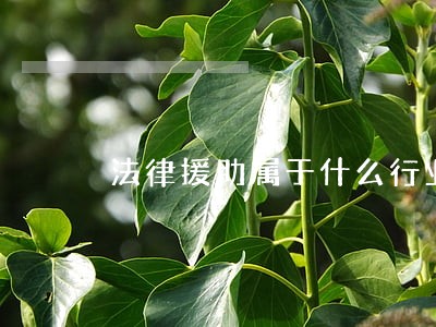 法律援助属于什么行业 法律援助属于什么行业