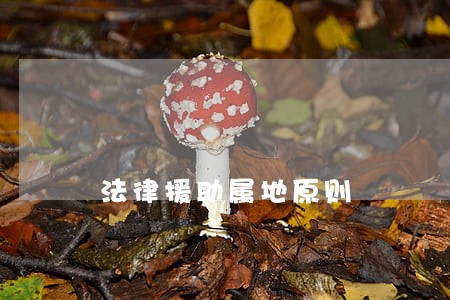 法律援助属地原则 法律援助属地原则