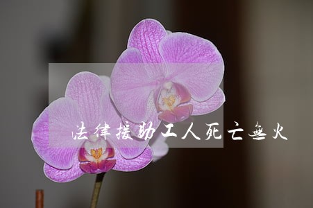 法律援助工人死亡无火 法律援助工人死亡无火