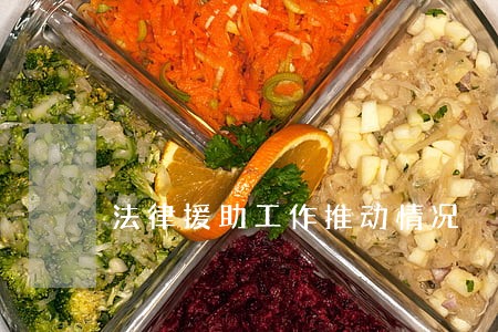 法律援助工作推动情况 法律援助工作推动情况