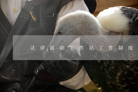 法律援助工作站工作制度 法律援助工作站工作制度