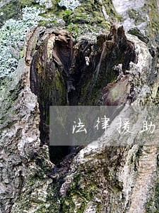 法律援助工作站排忧难吗 法律援助工作站排忧难吗