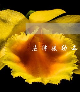 法律援助工作简报大全 法律援助工作简报大全