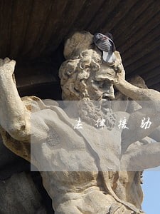 法律援助建数据库 法律援助建数据库