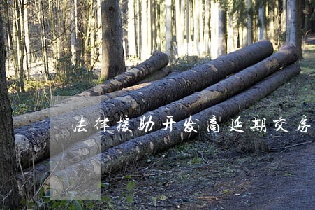 法律援助开发商延期交房 法律援助开发商延期交房