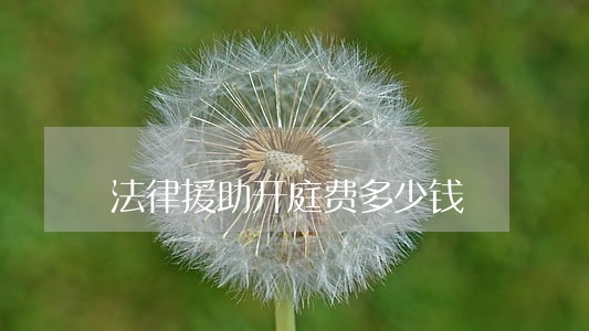 法律援助开庭费多少钱