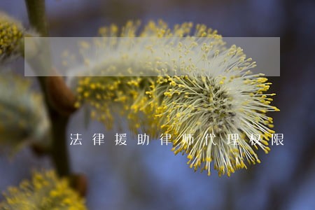 法律援助律师代理权限 法律援助律师代理权限