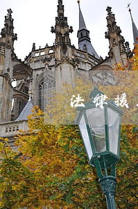 法律援助律师库 法律援助律师库