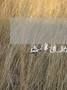 法律援助律师开展创新工作 法律援助律师开展创新工作