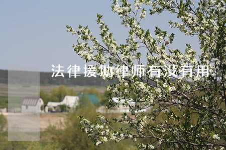 法律援助律师有没有用