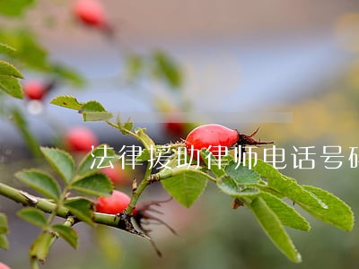 法律援助律师电话号码 法律援助律师电话号码