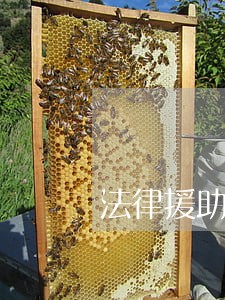 法律援助律师职称 法律援助律师职称