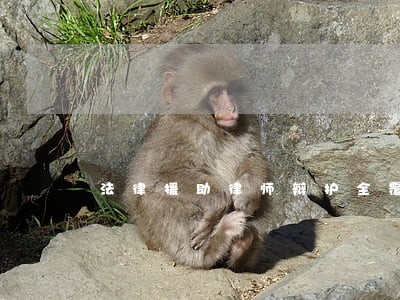 法律援助律师辩护全覆盖 法律援助律师辩护全覆盖