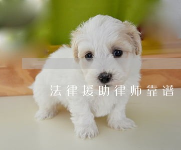 法律援助律师靠谱 法律援助律师靠谱