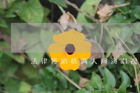 法律援助情满人间演唱视频
