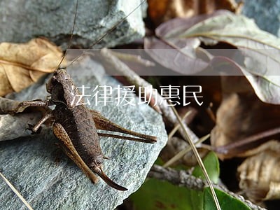 法律援助惠民