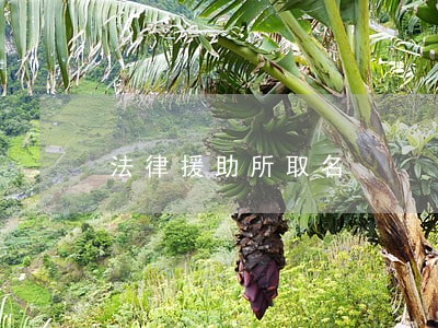 法律援助所取名 法律援助所取名