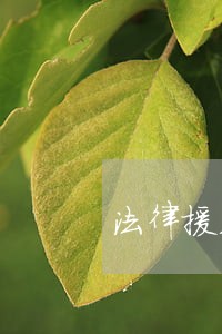 法律援助扑克