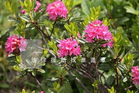 法律援助找谁盖章 法律援助找谁盖章