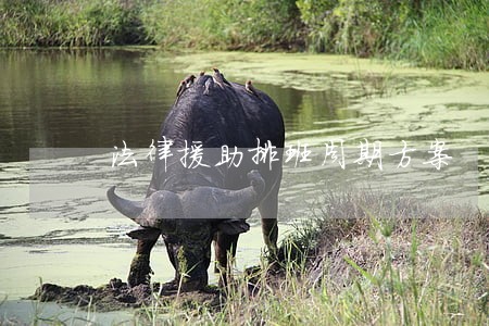 法律援助排班周期方案 法律援助排班周期方案