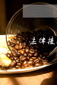 法律援助接案报告
