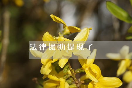 法律援助提现了 法律援助提现了