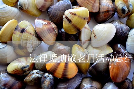 法律援助敬老月活动总结 法律援助敬老月活动总结