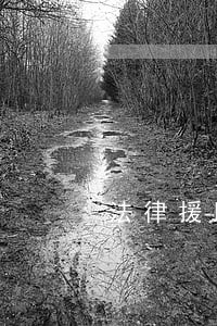 法律援助是不是公益几类 法律援助是不是公益几类