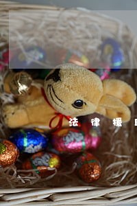 法律援助是主动提供的吗 法律援助是主动提供的吗