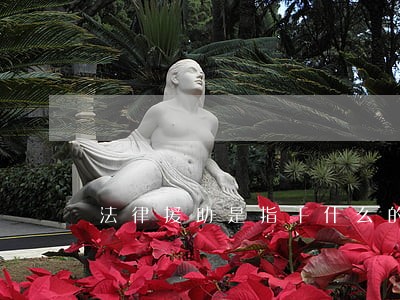 法律援助是指干什么的 法律援助是指干什么的