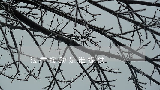 法律援助是谁提供 法律援助是谁提供