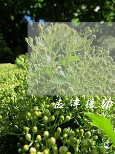 法律援助暖侨心 法律援助暖侨心