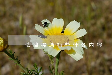 法律援助有些什么内容